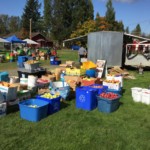 2019-3rd-annual-apple-pressing-and-farmers-feed-families-event_3