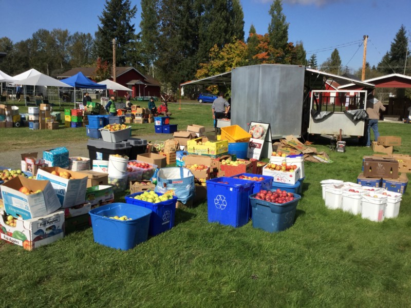 2019-3rd-annual-apple-pressing-and-farmers-feed-families-event_3