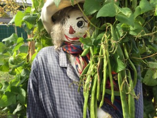 2019 3rd Annual Apple Pressing and Farmers Feed Families Event_ScareCrow
